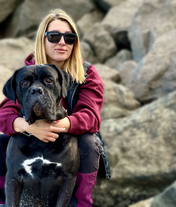 Дресирування собак Київ(Осокорки), Гнідин,Вишеньки, Золоче, Кийлів