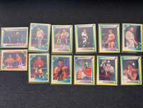 Karty wrestling Merlin z 1993 roku WWF
