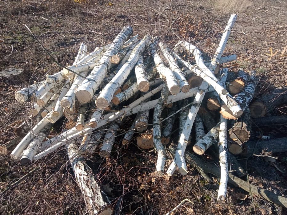 Продам дрова вільха, береза, дуб міксом