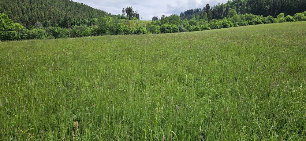 Sianokiszonka 2025, TRANSPORT, bele 130