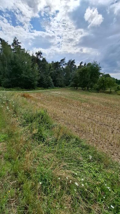 Działka 0,15ha - bezpośrednio przy lesie
