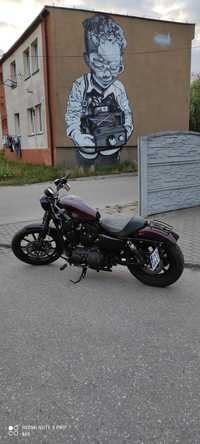 Harley-Davidson Sportster Iron 1200 Harley-davidson sportster xl1200 iron