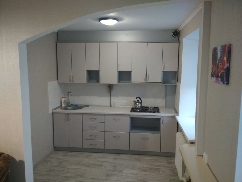 Подобово, погодинно в центрі міста