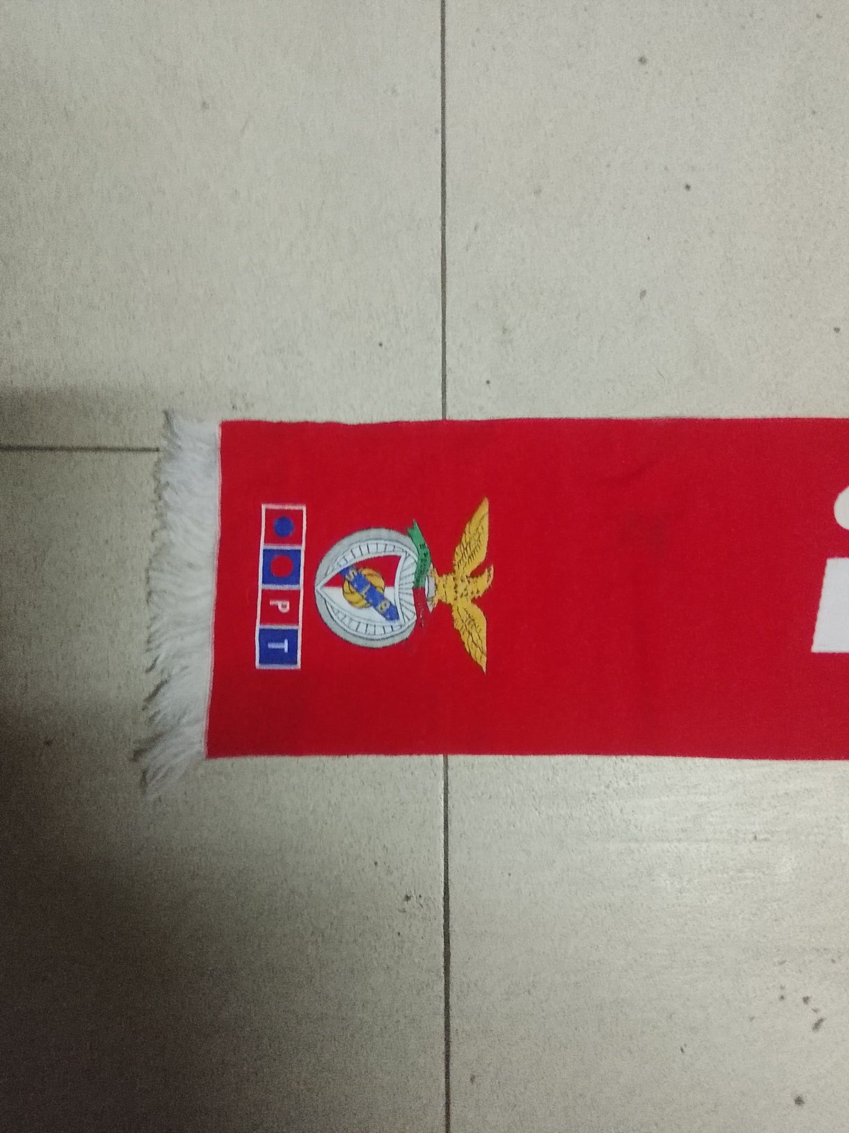 Lote desportivo novo