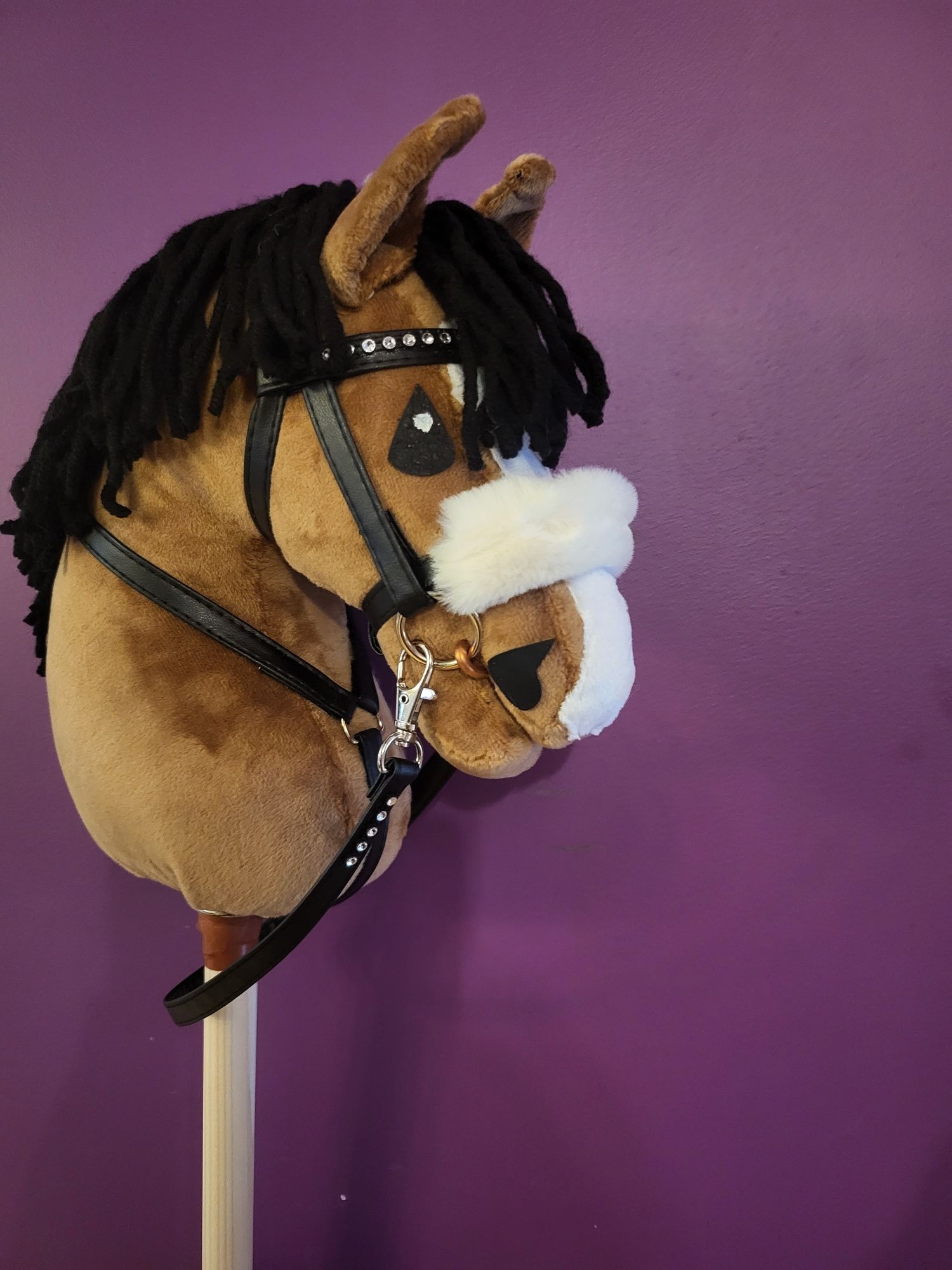 Happy hobby horse