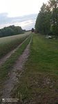 Łowisko Lubiki No kill złów i wypuść
