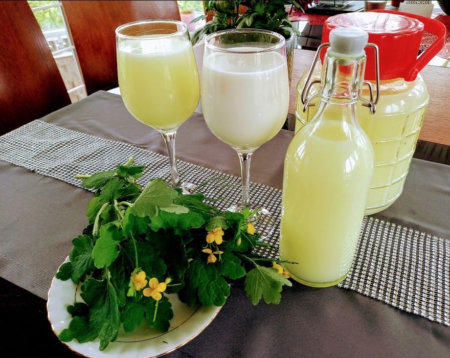 1l zakwas Bołotowa wg Barbary Kazana.kozia serwatka I świeży glistnik