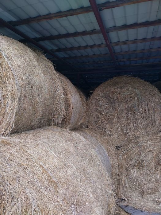Sprzedam siano dla koni