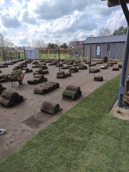 Trawa w rolce trawa z rolki 40m2 z dostawą pod sam dom