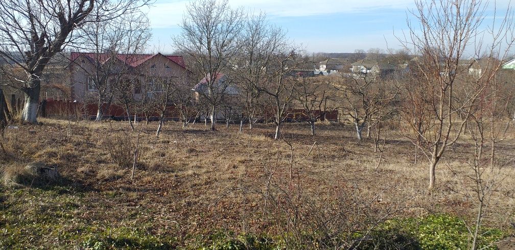 Продається кам'яний будинок в селі Романківці.