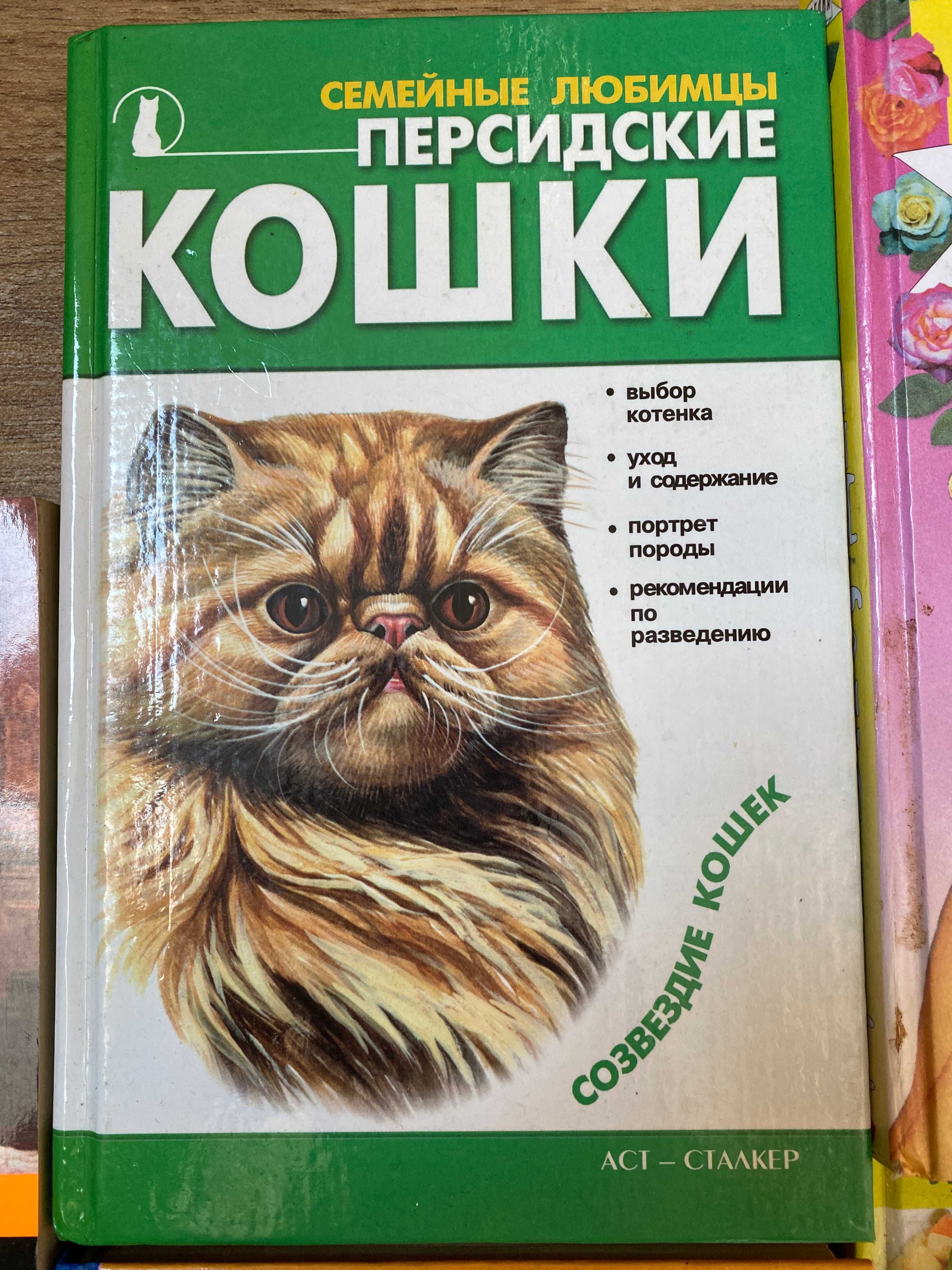 Книга о персидских котах уход за котами