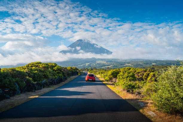 Motorista Particular com experiência profissional.