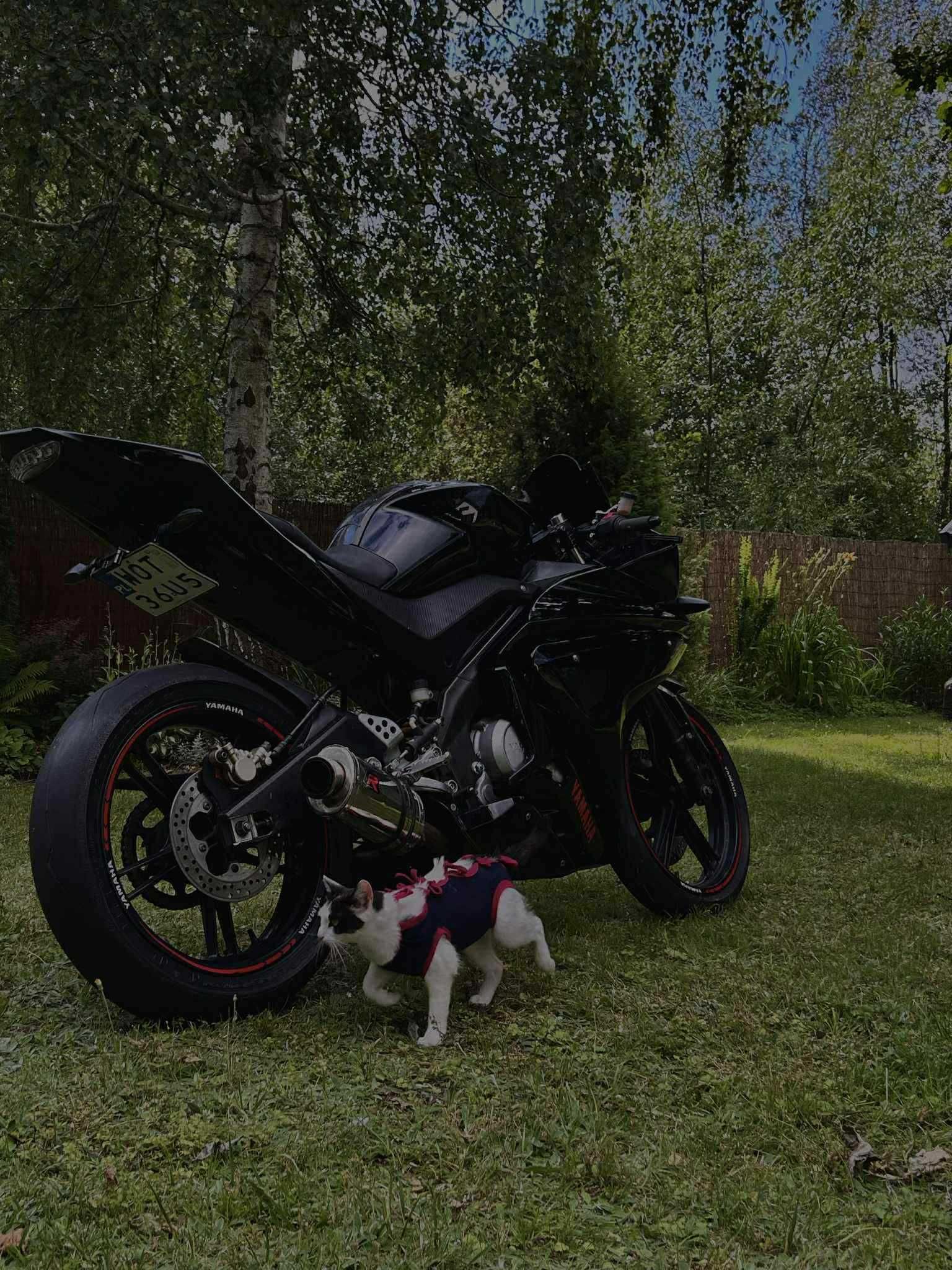 Sprzedam Yamaha YZF R 125