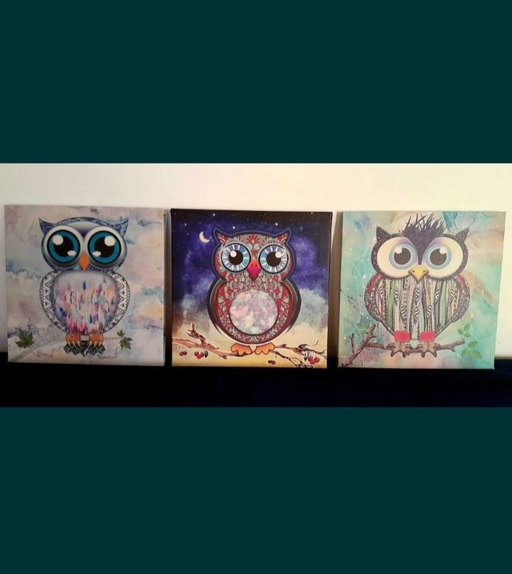 3 obrazki 20x20cm sowy sowa obraz na płótnie