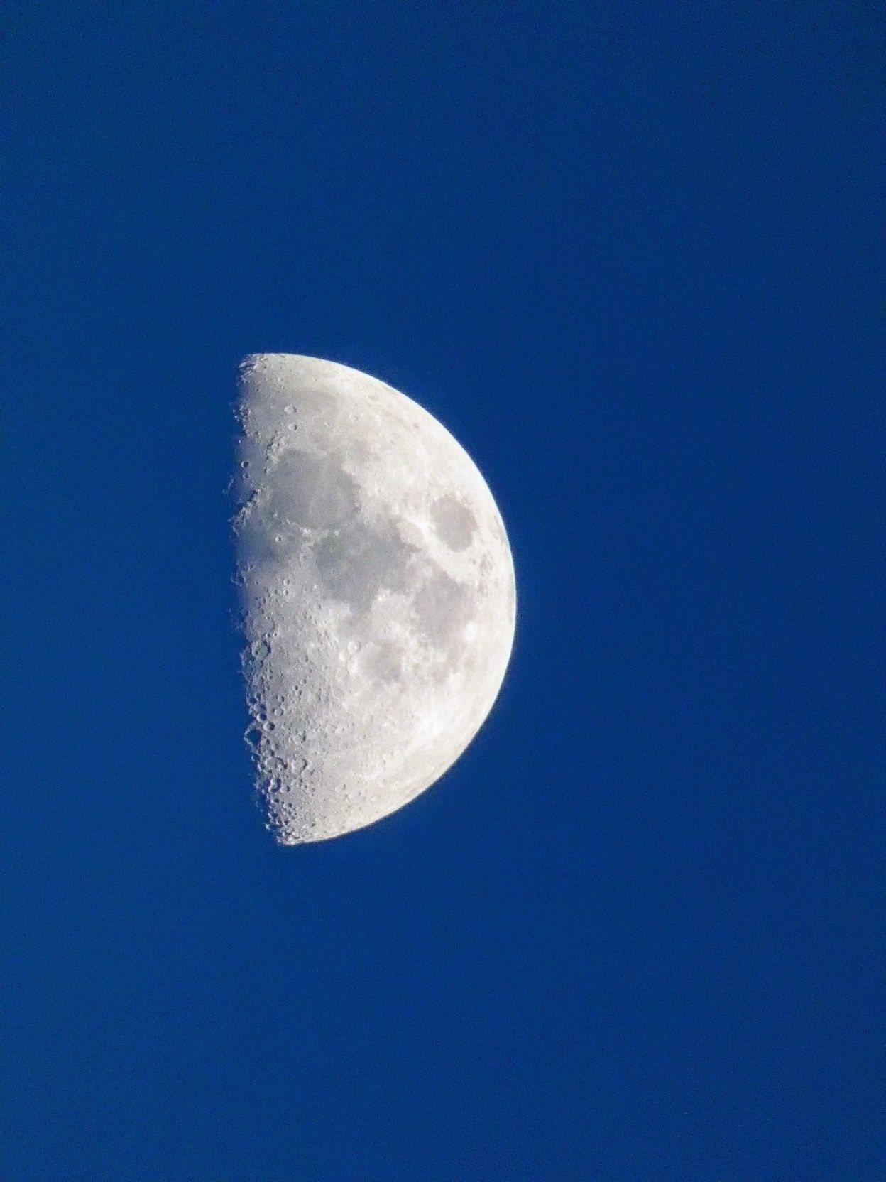Aparat Lumix DC-FZ81