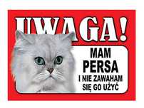 Tabliczka uwaga kot zabawna plastikowa PERSKI 42