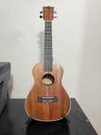 Ukulele koncertowe Pengano