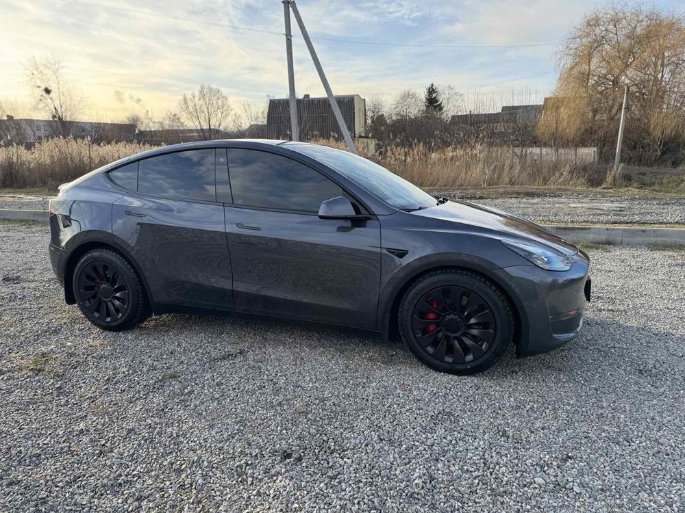 Tesla Model Y  Perfomance 2022