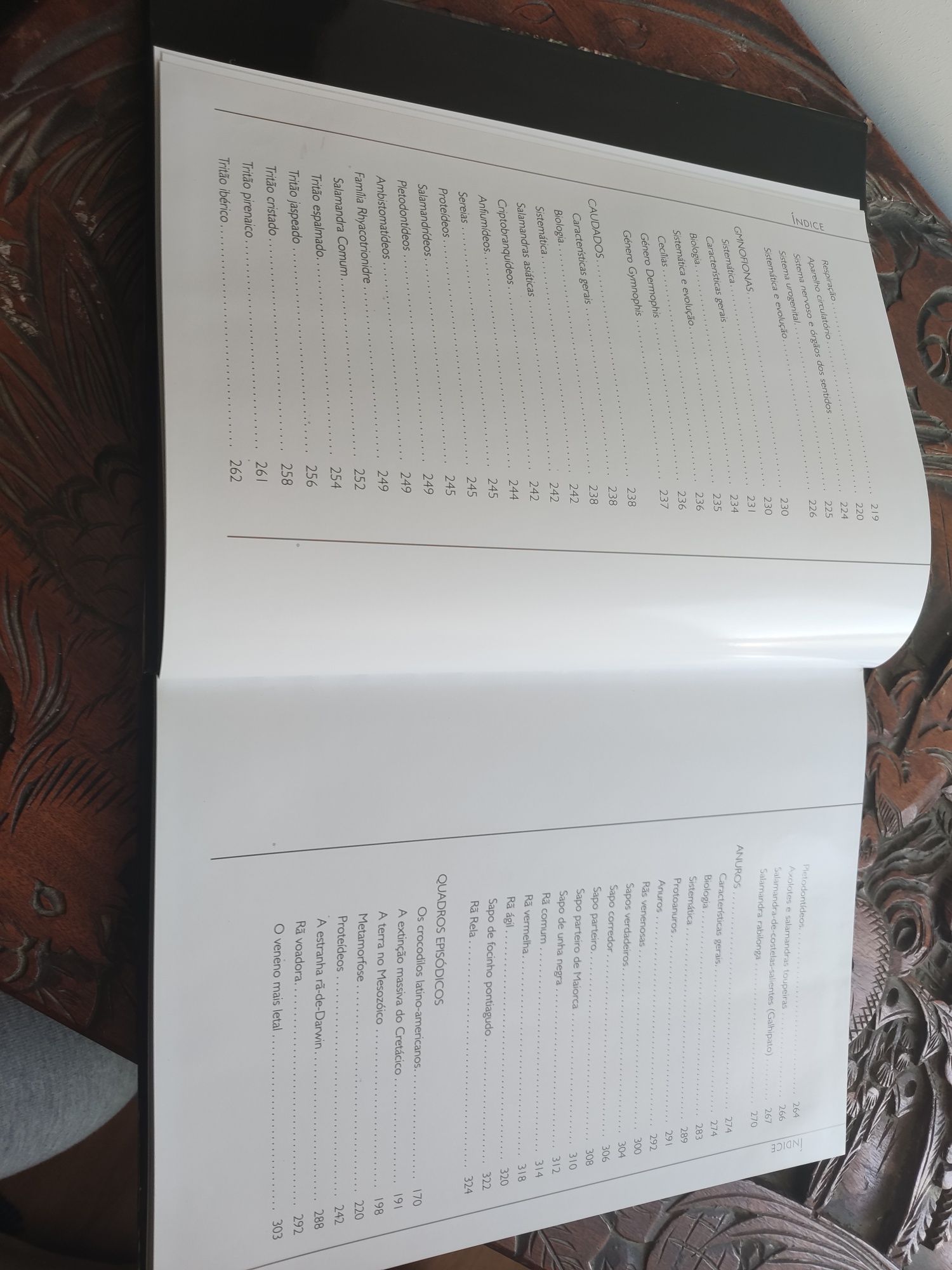 Coleção Terra Viva Completa Livros de Ciencias Naturais e Biologia