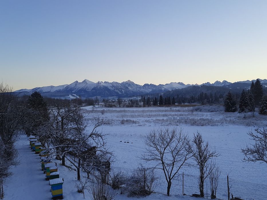 Pokoje gościnne w Czarnej Górze, kwatery prywatne