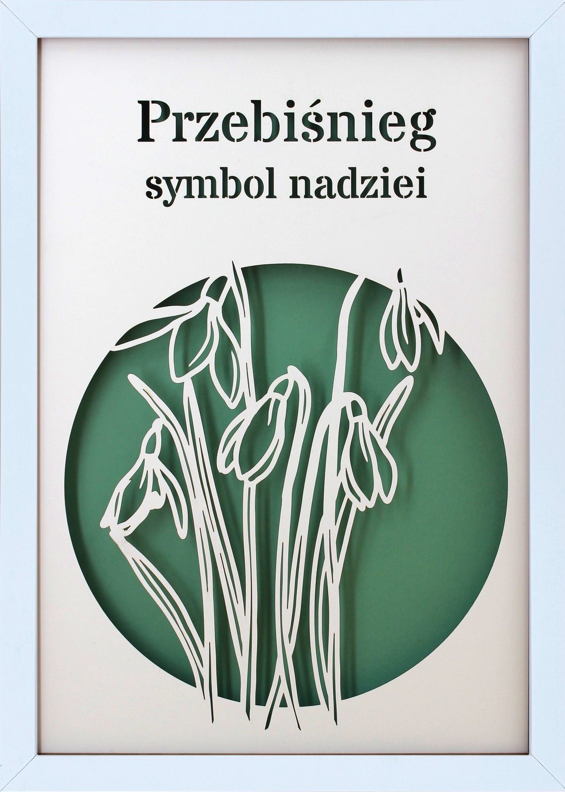 Ramka 3D Shadow Box Przebiśnieg