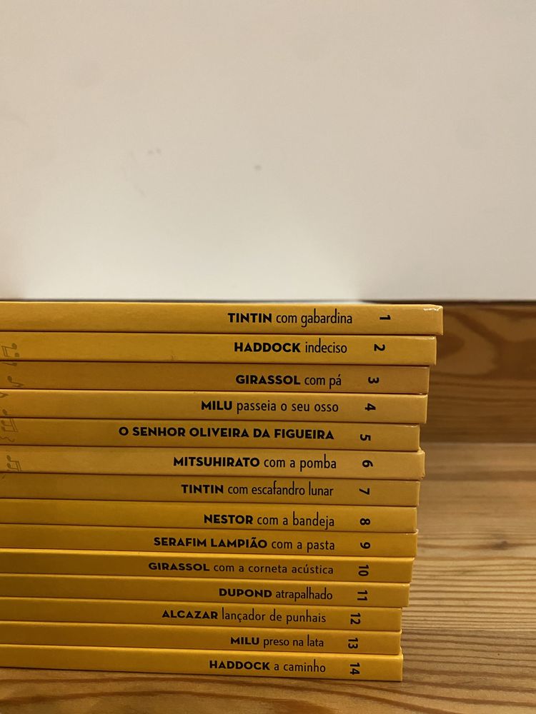 Coleção Exclusiva Tintin (DESCONTO!)