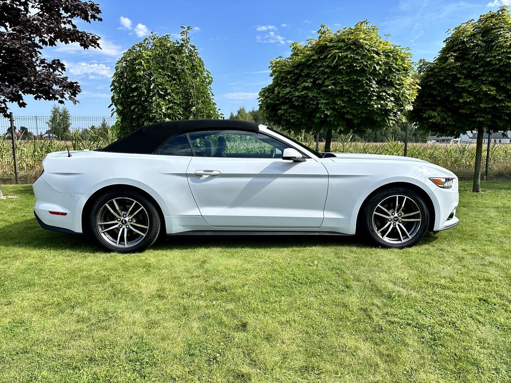 Cayenne, Audi, Mercedes AMG Audi RS wynajem aut wypożyczalnia PREMIUM