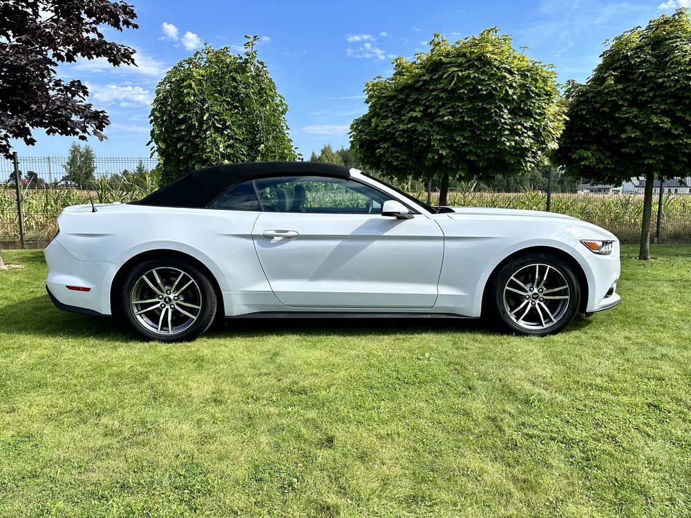 Mustang Cabrio Mercedes AMG Audi RS wynajem aut wypożyczalnia PREMIUM