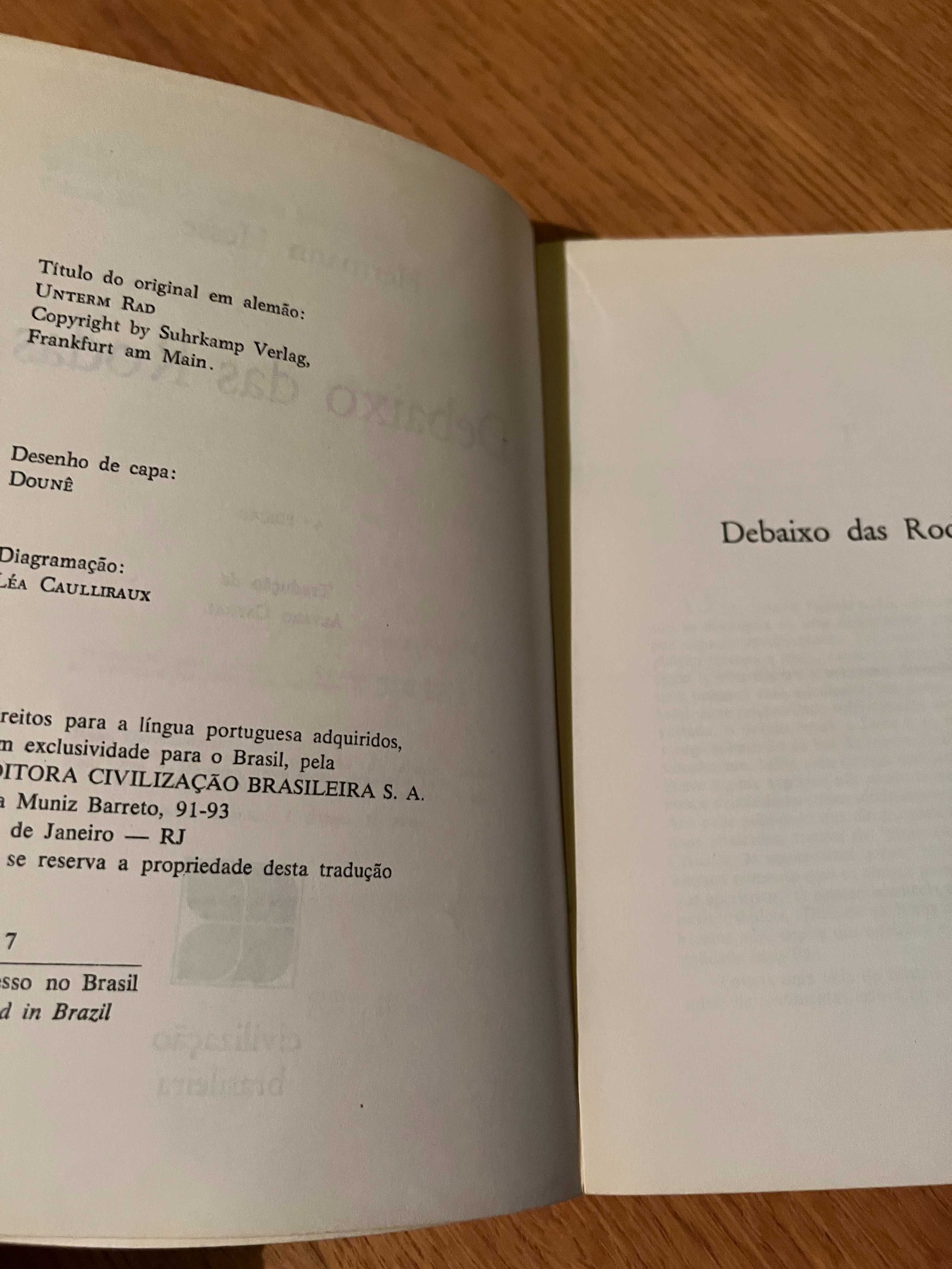 Debaixo das rodas     HERMANN HESSE