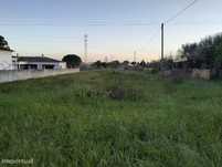 Terreno a venda em Entroncamento, Casal do Grilo