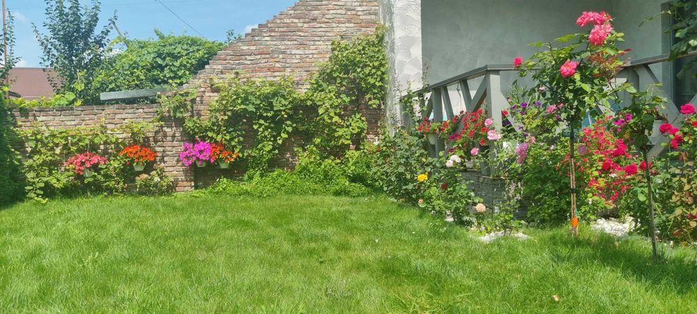 Здам ВІП  будинок