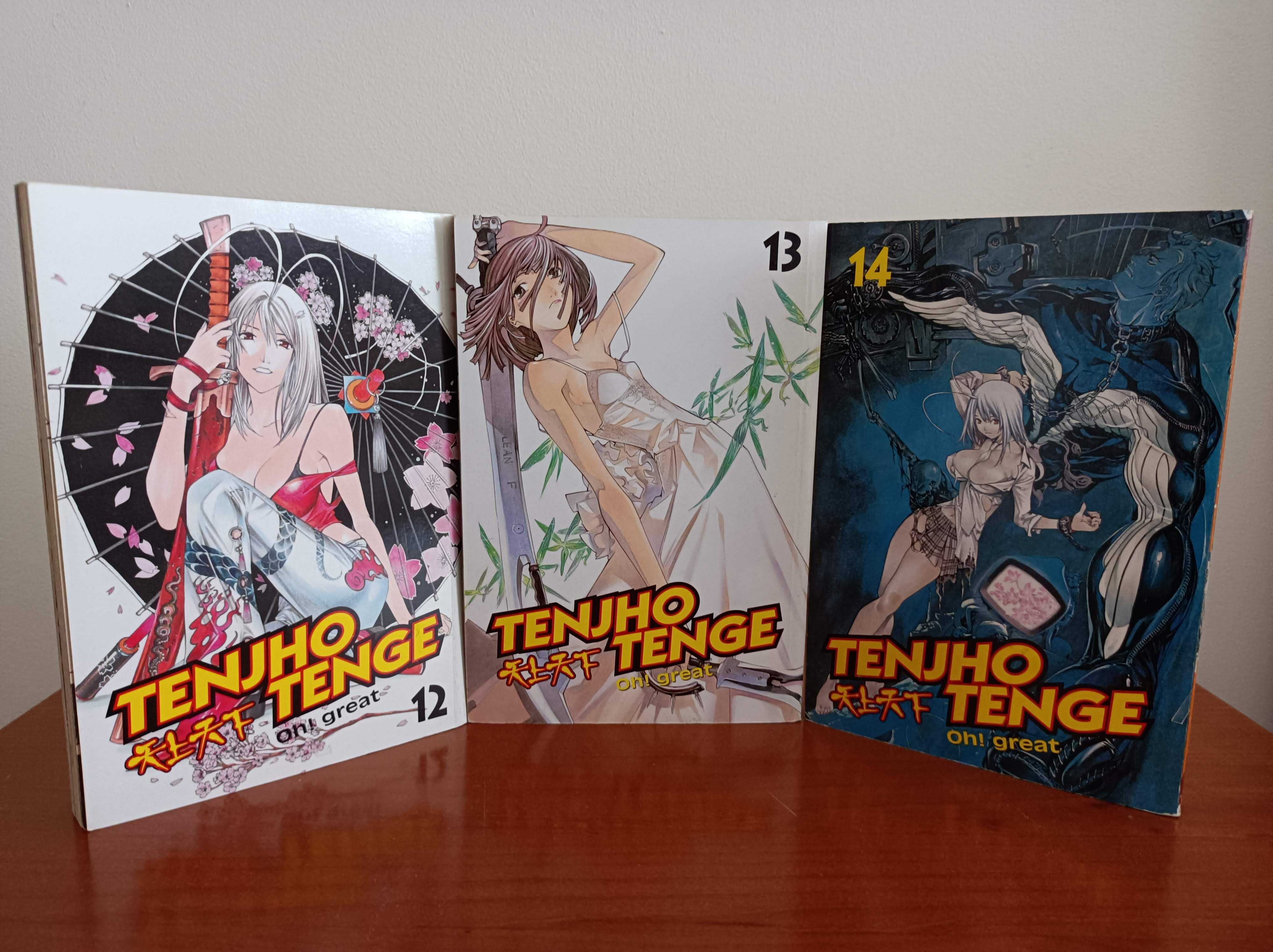 Manga Tenjou Tenge (12 vols)(Inglês)