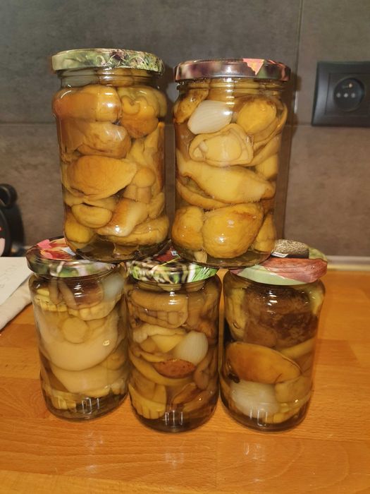 Pyszne Borowiki marynowane. Atest Grzyboznawcy