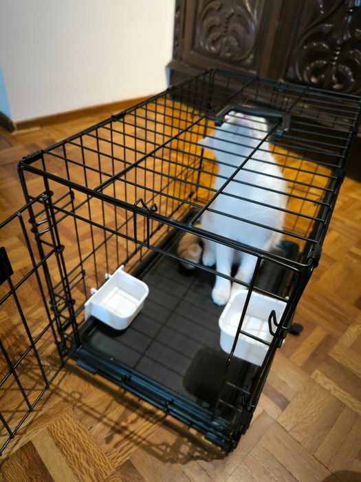 Crate de transporte gato ou cão