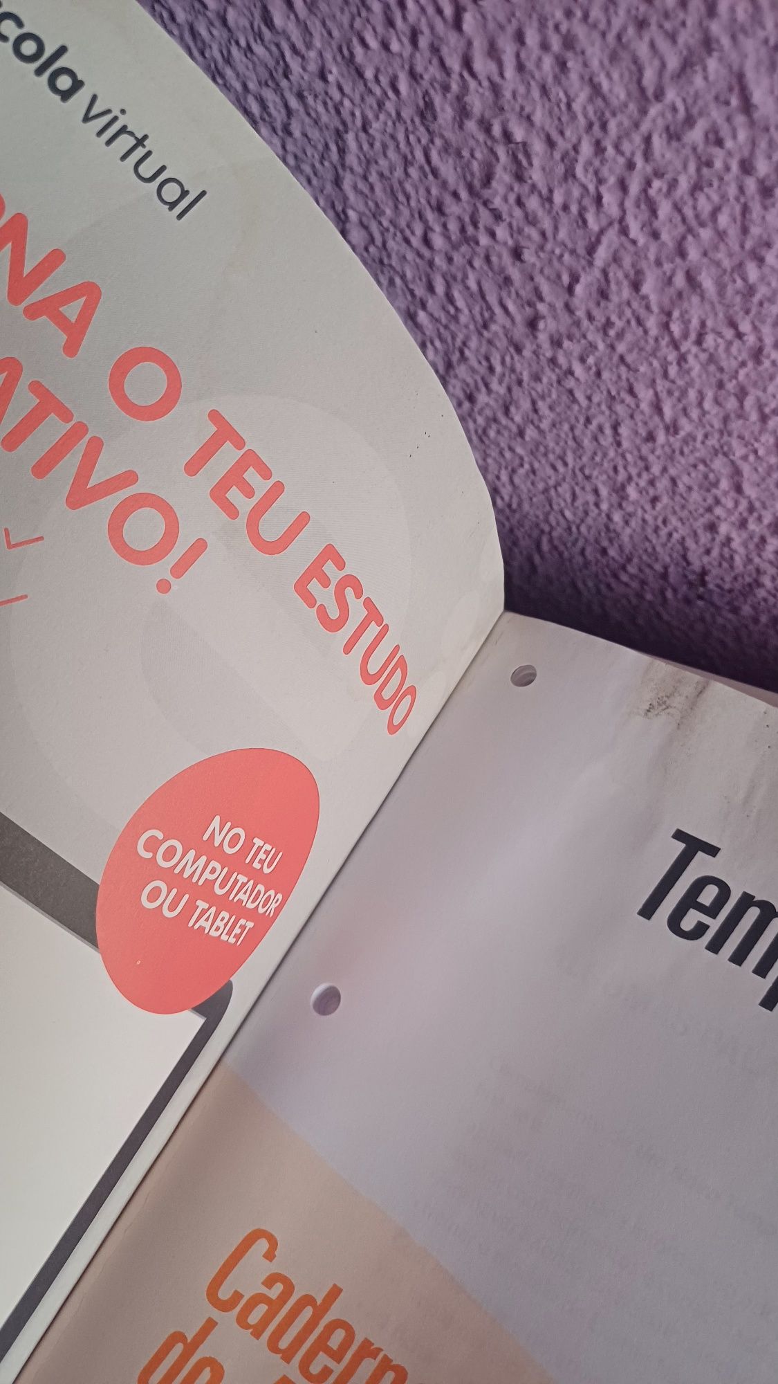 Um novo tempo da história - 12° ano