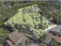 Vendo terreno para construção