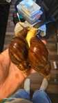 Ślimak lissachatina fulica