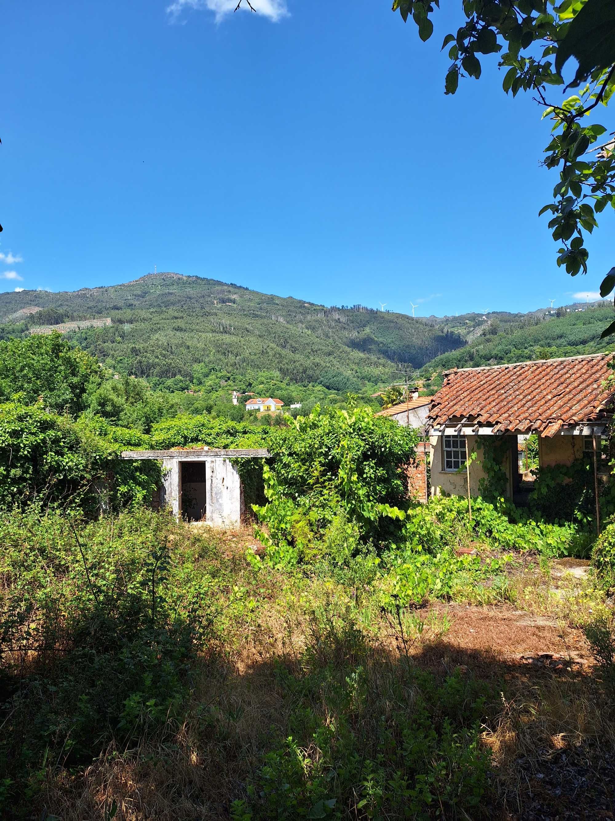 Casa Eiras de castelões, terrenos