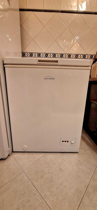 Arca congeladora Electronia 100L