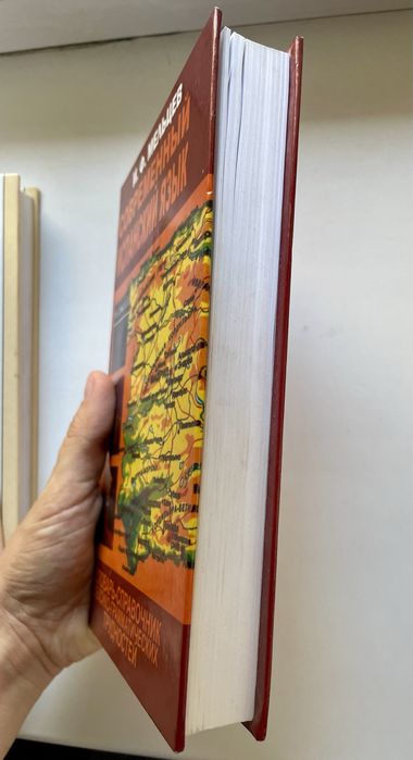 Практическая грамматика испанского языка /Современный испанский язык