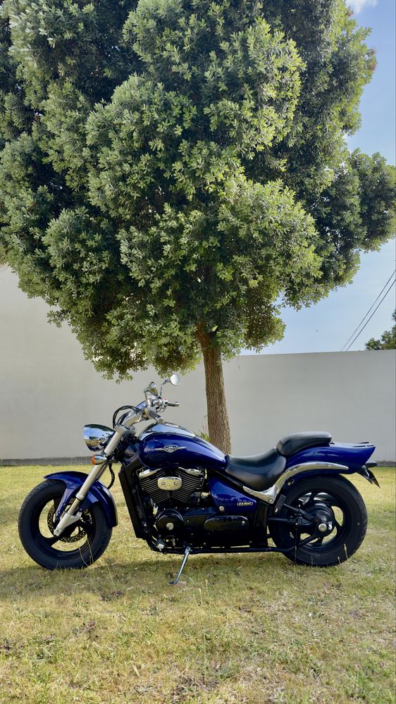 Suzuki Intruder 800