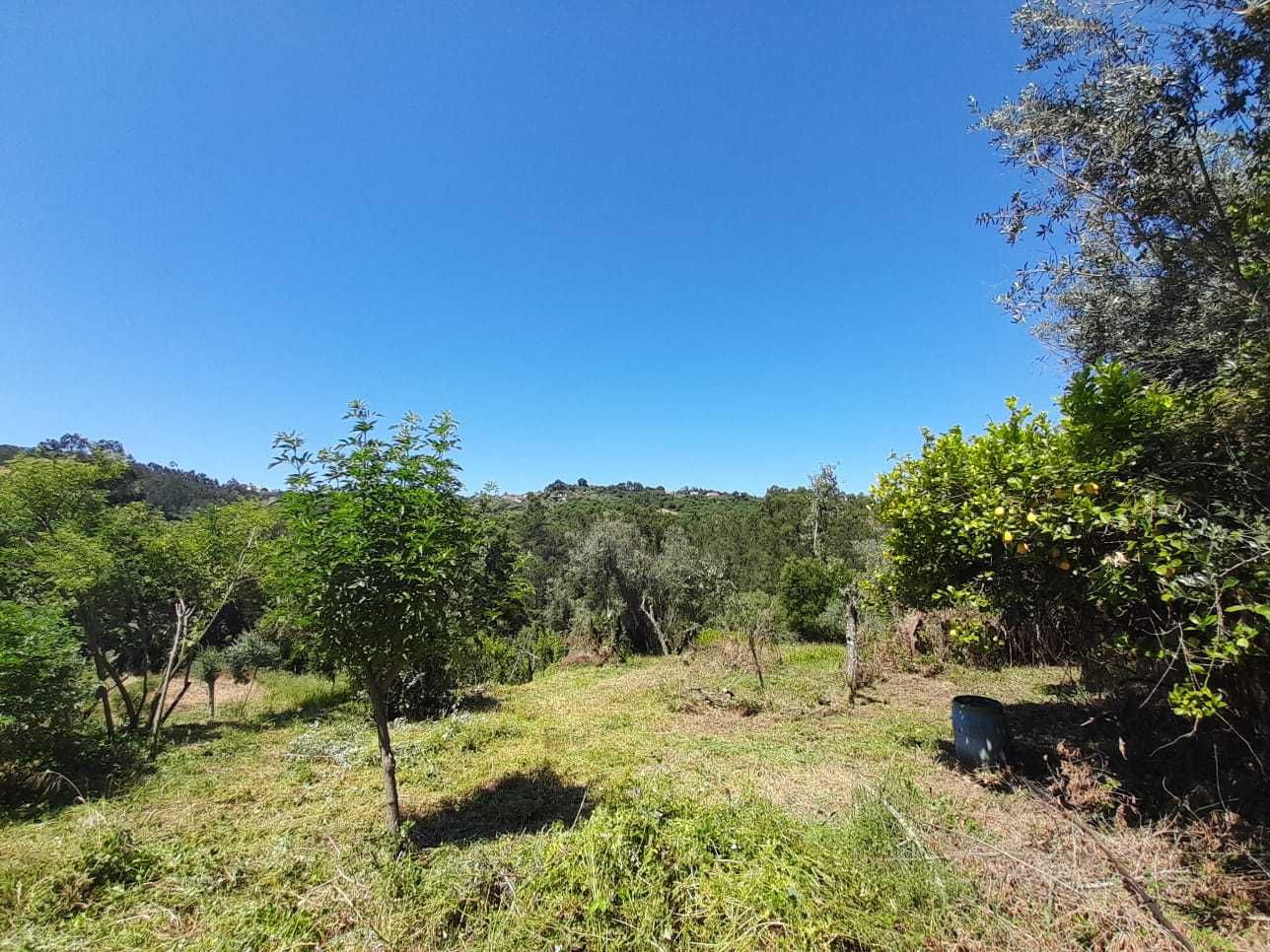 Terreno Urbano para construção na Serra e Junceira