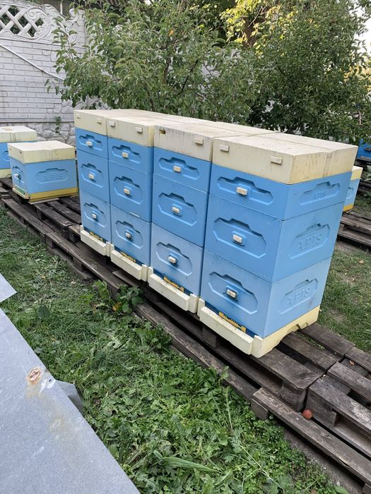 Продам вулики ппс