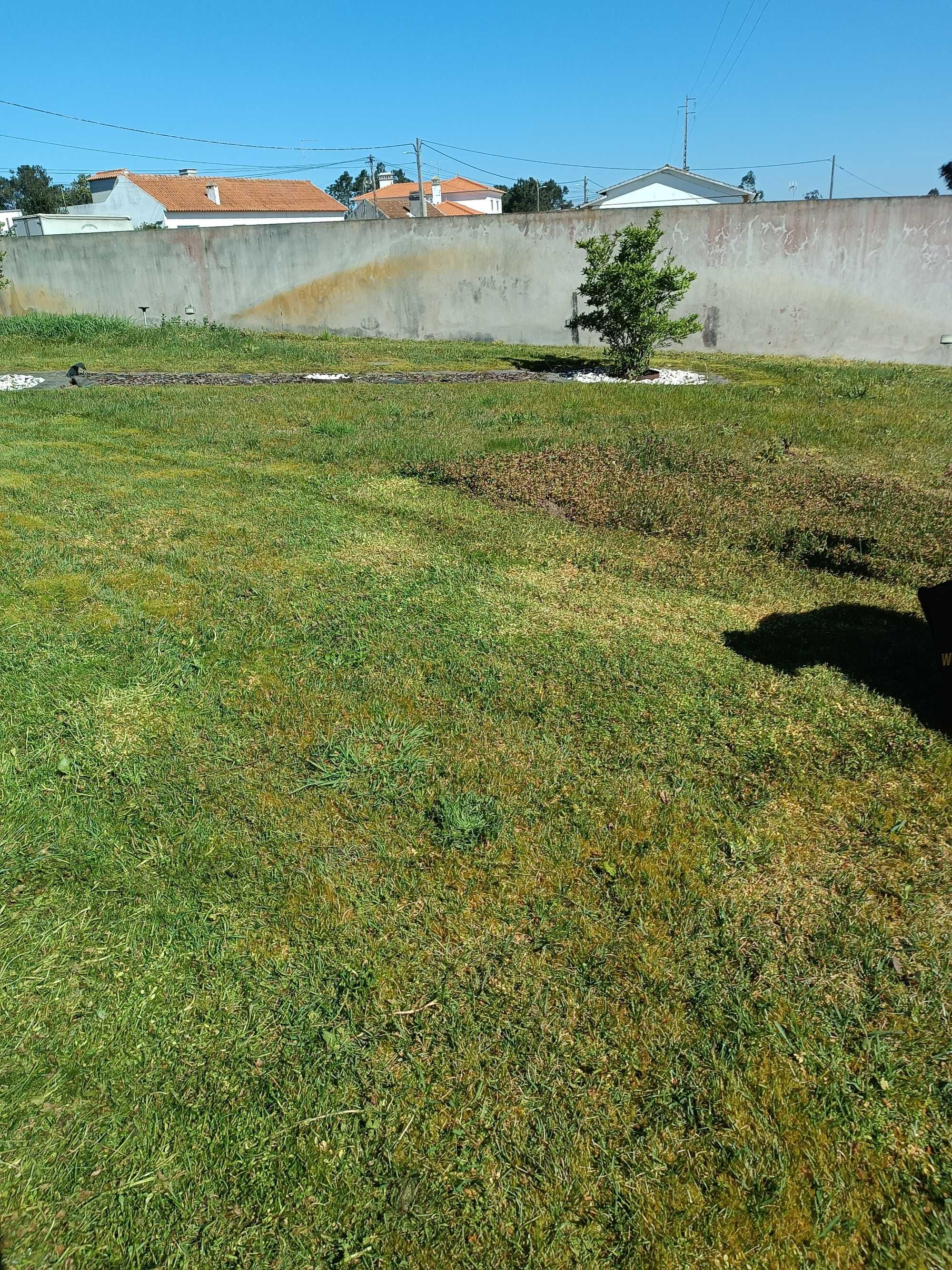Jardinagem e manutenção de jardins
