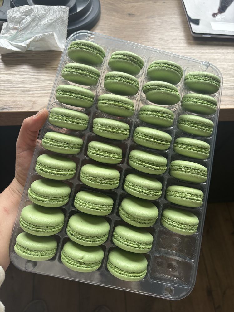 Korpusy makaroników