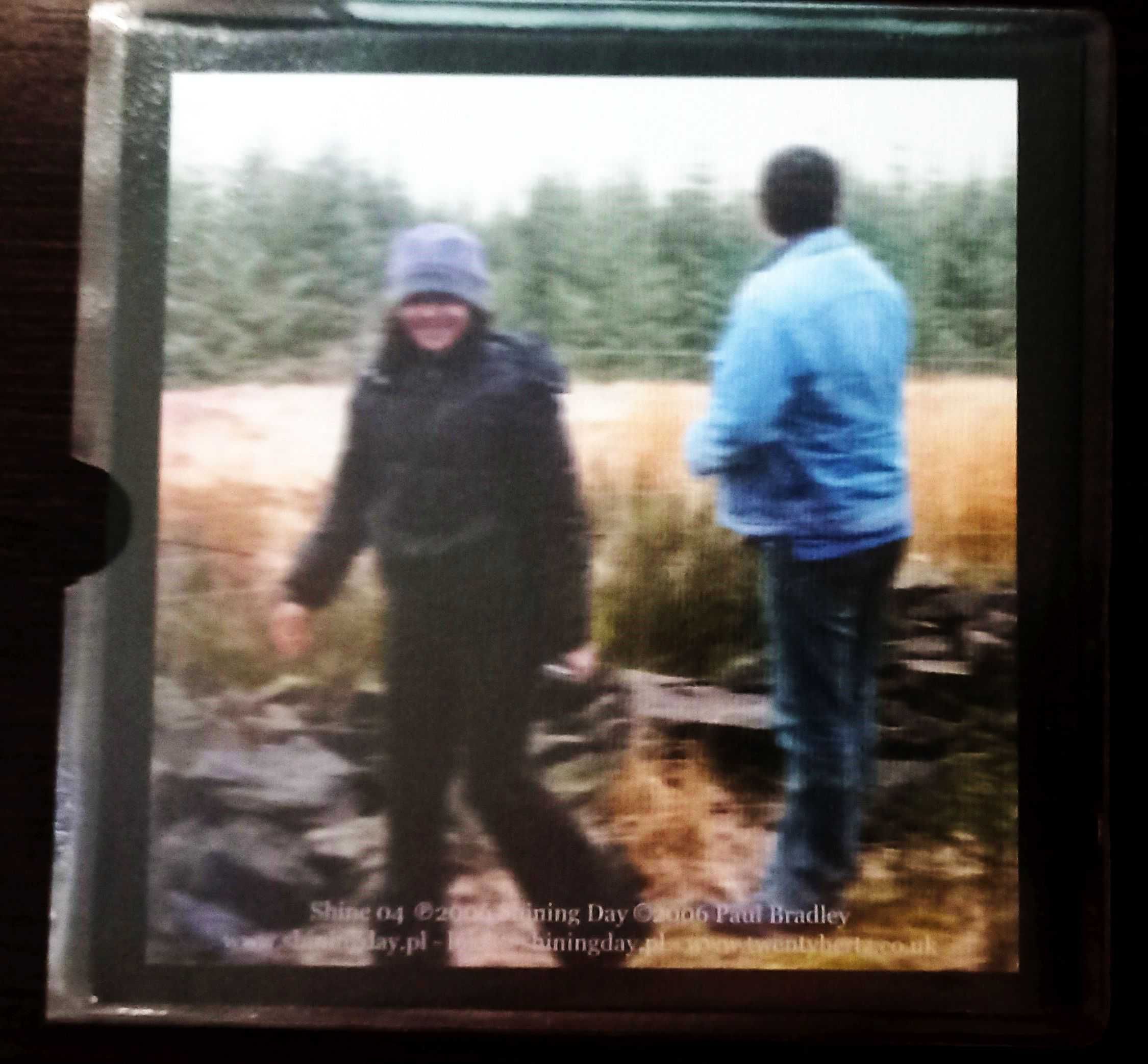 Paul Bradley – Pastandpresentcollide, Shining Day