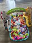 Mata edukacyjna Fisher-Price – Zoo / Safari