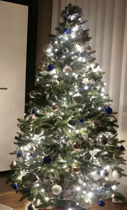 Ялинка лита  Преміум 175 Смерека