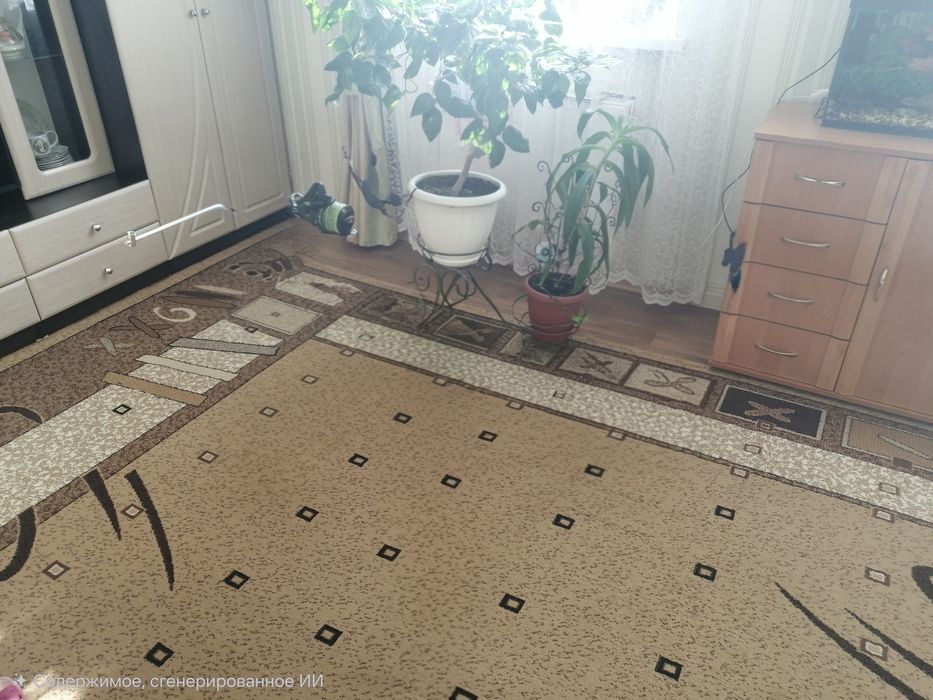 Килим 4х2.5 б.у в нормальному стані.