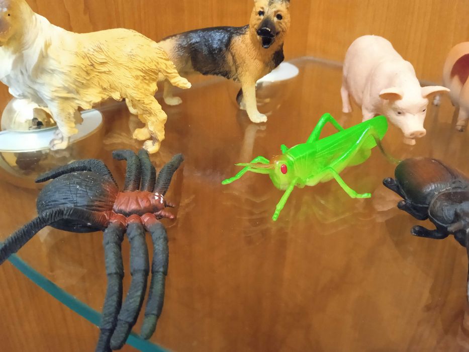 Фигурки животных(домашние животные): собаки, поросята,лягушка,паук,куз